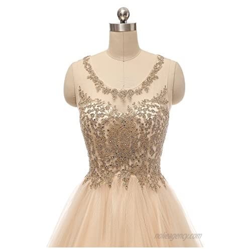 Lace Appliques Short Prom Dresses Tulle Beaded Homecoming Party Dress