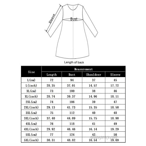 AMZ PLUS Womens Plus Size Irregular Hem Short Sleeve Loose Shirt Dress Top
